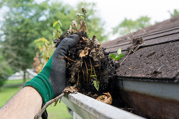 Gutter Maintenance & Cleaning Services